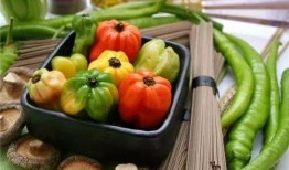 52每日大瓜视频 吃料,揭秘娱乐圈幕后真相，带你领略明星生活点滴