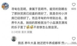 社会热点插画 2025社会热点话题 网红小英被曝大瓜,2025年社会热点话题大揭秘